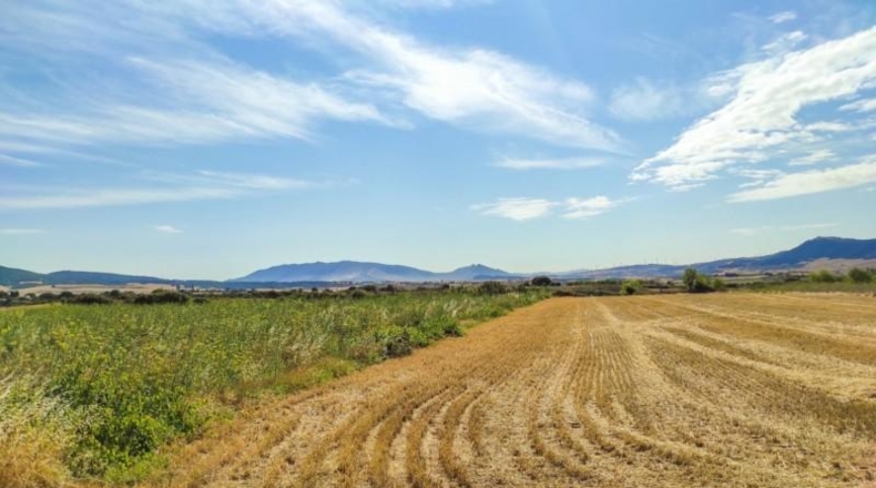 Navarra - Muruzábal - 16000m2