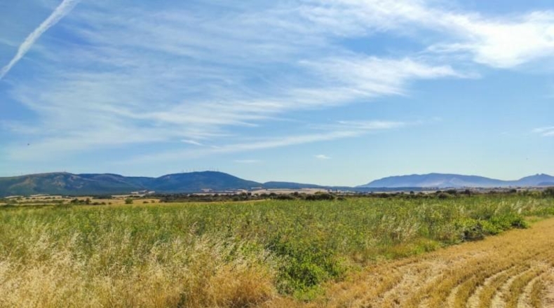 Navarra - Muruzábal - 16000m2