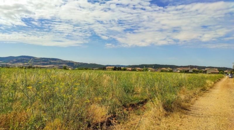 Navarra - Muruzábal - 16000m2