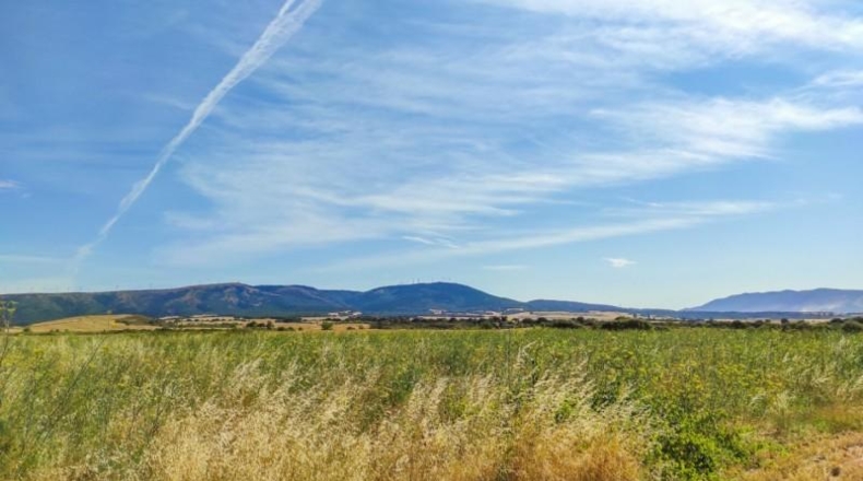 Navarra - Muruzábal - 16000m2