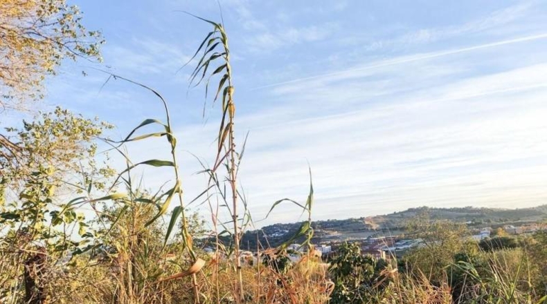 Barcelona - Terrassa - 6983m2