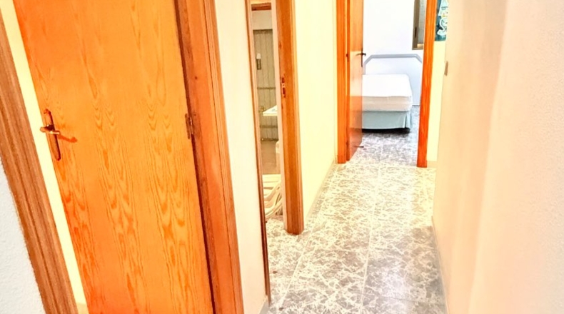 Murcia - Cartagena - 500m2