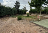 Xalet independent amb terreny en venda a Daimiel ref.: TR391971 foto