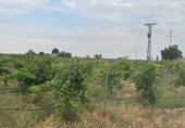 Xalet independent amb terreny en venda a Daimiel ref.: TR391971 foto