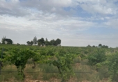 Xalet independent amb terreny en venda a Daimiel ref.: TR391971 foto