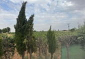Xalet independent amb terreny en venda a Daimiel ref.: TR391971 foto