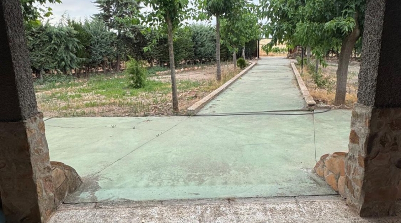Ciudad Real - Daimiel - 55000m2