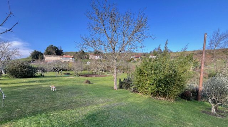 Astúries - La Belga - 3000m2