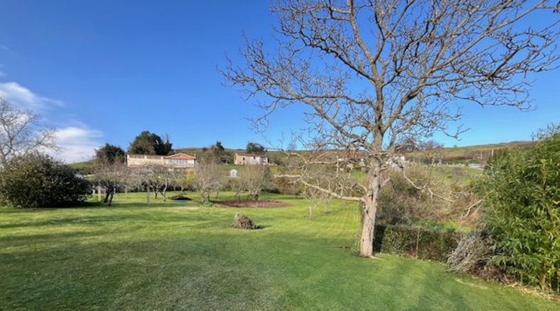 Astúries - La Belga - 3000m2
