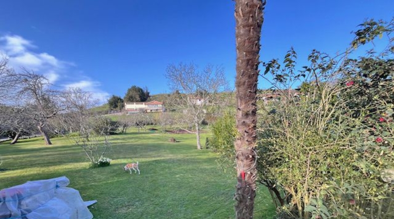 Astúries - La Belga - 3000m2