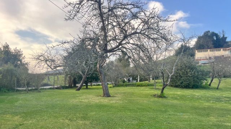 Astúries - La Belga - 3000m2
