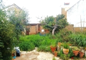 Дом с участком на продажу в городе Alcalá de Guadaíra. Фото
