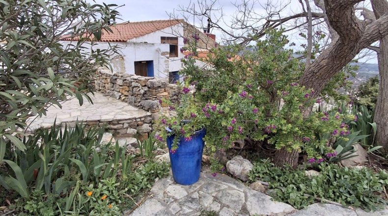 Castellon - la Serra d'en Galceran - 20000m2