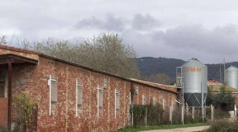 Tarragona - Sant Jaume dels Domenys - 10000m2