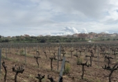 Finca rústica en venda a la España, Sant Jaume dels Domenys, ref.: TR391968 foto