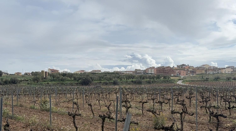 Tarragona - Sant Jaume dels Domenys - 10000m2