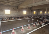 Finca rústica en venda a la España, Sant Jaume dels Domenys, ref.: TR391968 foto