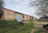 Finca rústica en venda a la España, Sant Jaume dels Domenys, ref.: TR391968 foto