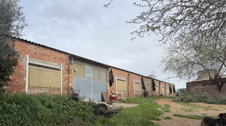 Tarragona - Sant Jaume dels Domenys - 10000m2