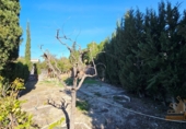 Xalet independent amb terreny en venda a Molina de Segura ref.: TR392015 foto