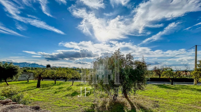 Tarragona - Tivissa - 1348m2