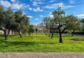Sòl urbà en venda a la España, Tivissa, ref.: TR392244 foto