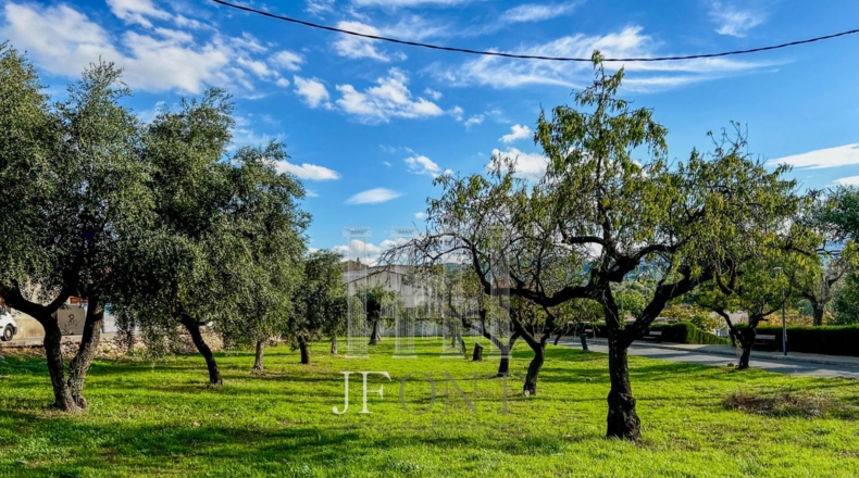 Tarragona - Tivissa - 1348m2