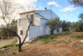 Tortosa 17280&nbsp;м²