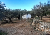 Земельный участок на продажу в городе Tortosa Фото