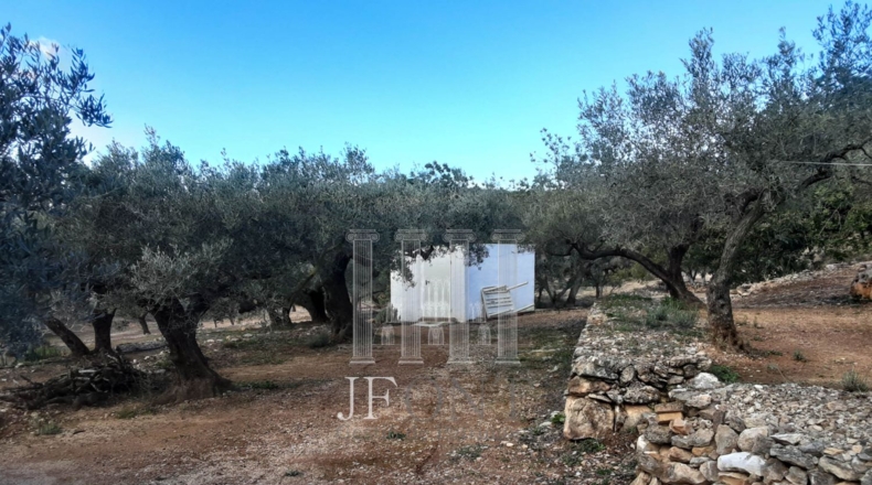 Таррагона - Tortosa - 17280m2