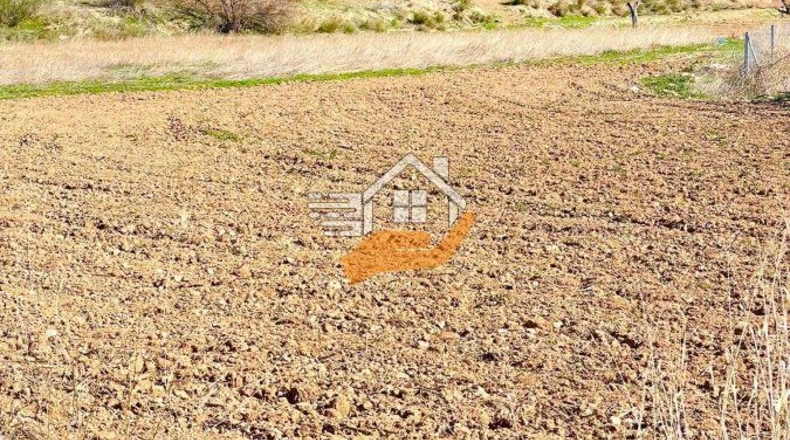 Almeria - Vélez-Rubio - 1248m2