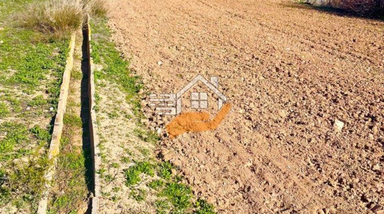 Almeria - Vélez-Rubio - 1248m2
