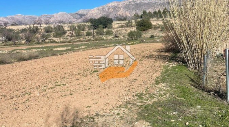 Almeria - Vélez-Rubio - 1248m2