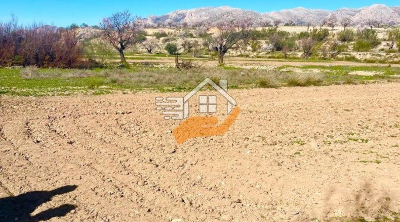 Almeria - Vélez-Rubio - 1248m2