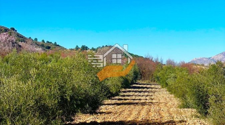Almeria - Vélez-Rubio - 1248m2