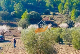 Foto 11