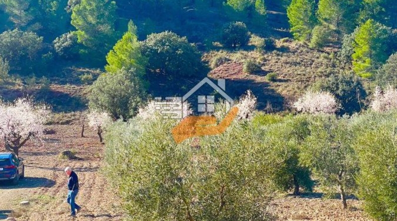 Almeria - Vélez-Rubio - 1248m2