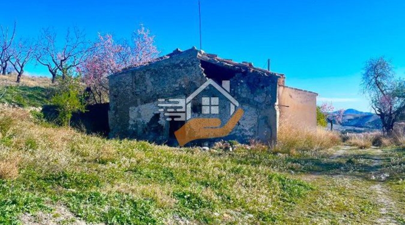 Almería - Vélez-Rubio - 14500m2