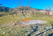 Finca rústica en venda a Vélez-Rubio ref.: TR392639 foto