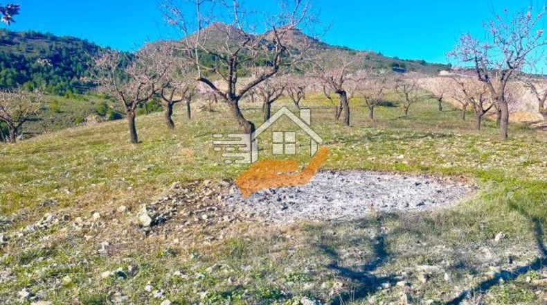 Almería - Vélez-Rubio - 14500m2