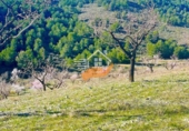 Finca rústica en venda a Vélez-Rubio ref.: TR392639 foto