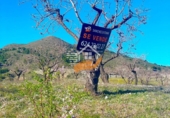 Finca rústica en venda a Vélez-Rubio ref.: TR392639 foto