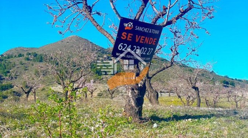 Almería - Vélez-Rubio - 14500m2