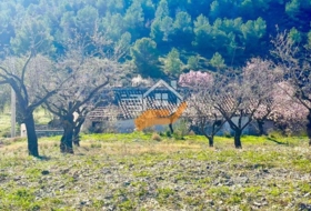 Foto 8