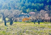 Finca rústica en venda a Vélez-Rubio ref.: TR392639 foto