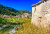 Finca rústica en venda a Vélez-Rubio ref.: TR392639 foto
