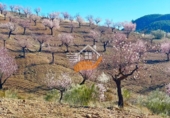 Non-developable land for sale in Vélez-Rubio ref: TR392557 photo