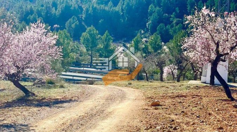 Almería - Vélez-Rubio - 40000m2