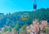 Non-developable land for sale in Vélez-Rubio ref: TR392557 photo
