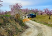 Terreny no urbanitzable en venda a Vélez-Rubio ref.: TR391527 foto